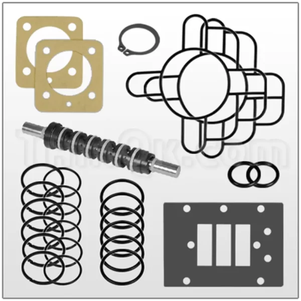 Kit de Válvula de Aire (T476.V029.000)